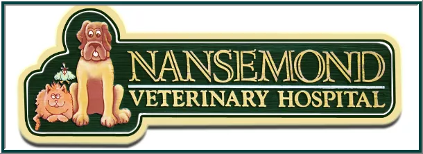 Nansemond Veterinary Clinic, North Carolina, Suffolk